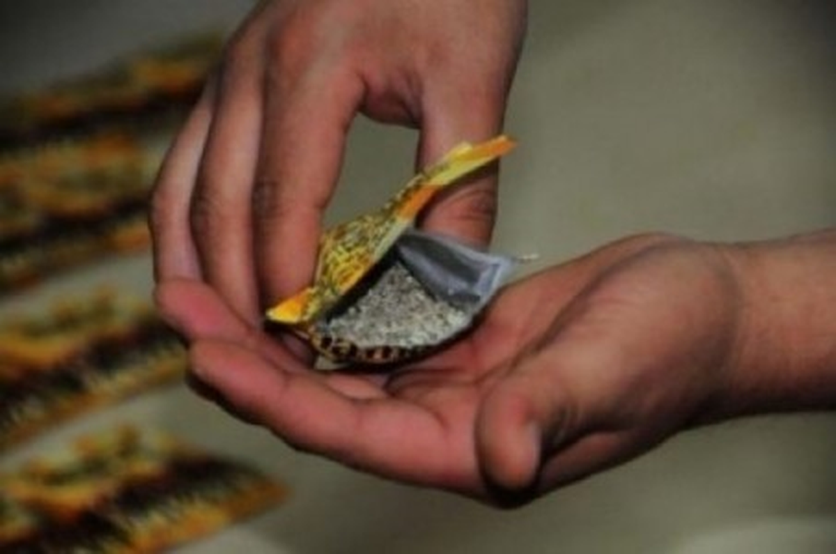 Eskişehir\'de 3 Gencin Bonzai Kullandıkları İddiası