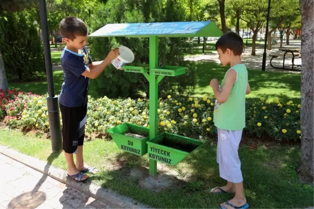 Şehitkamil Sokak Hayvanlarını Unutmuyor