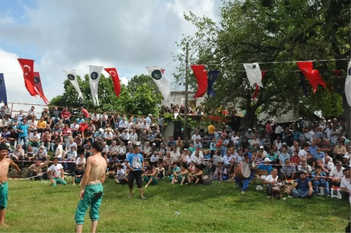 150 Hanelik Köyde 110 Yıllık Güreş Geleneği Sürüyor