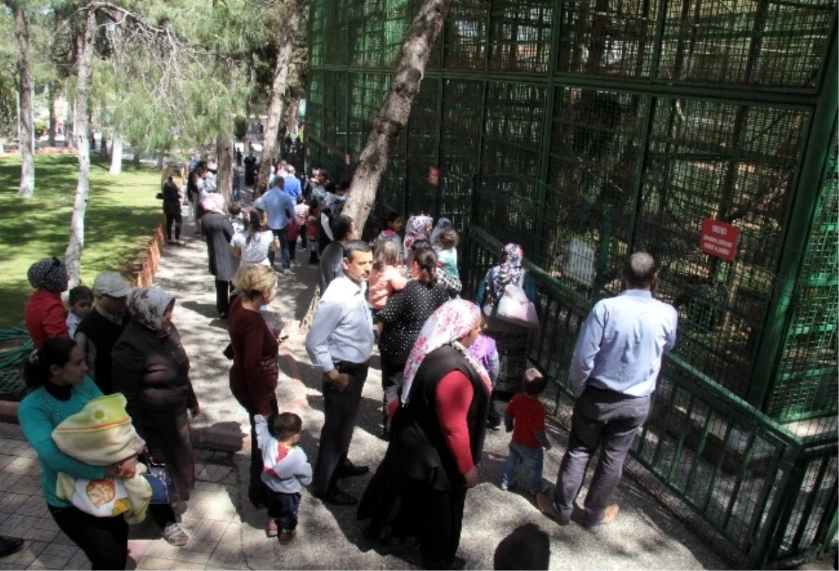 Gaziantep Hayvanat Bahçesi Ziyaretçi Akınına Uğradı