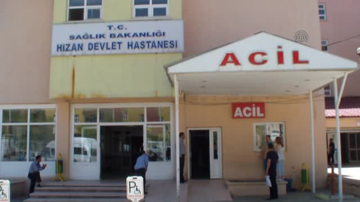 Ayı saldırısına uğrayan çoban ağır yaralandı -