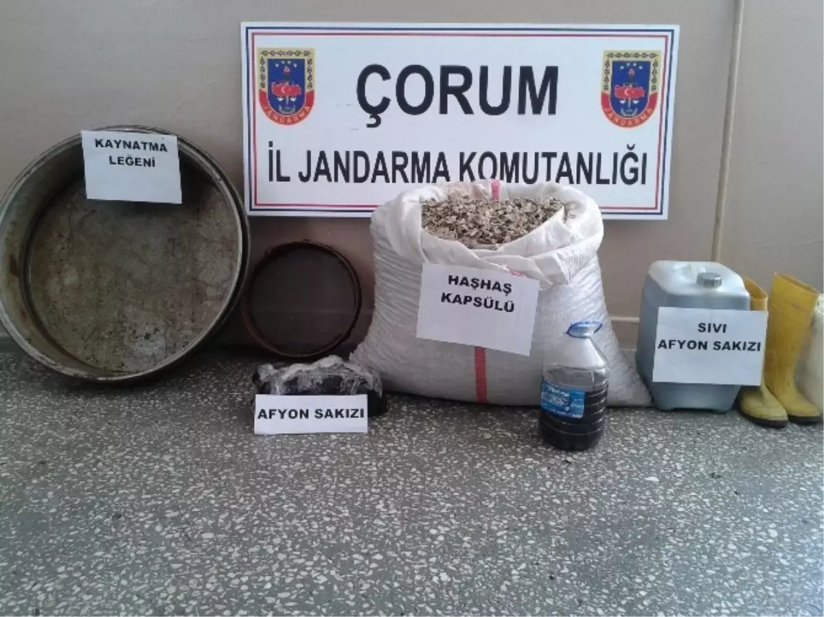 Jandarma\'dan Sakız Operasyonu