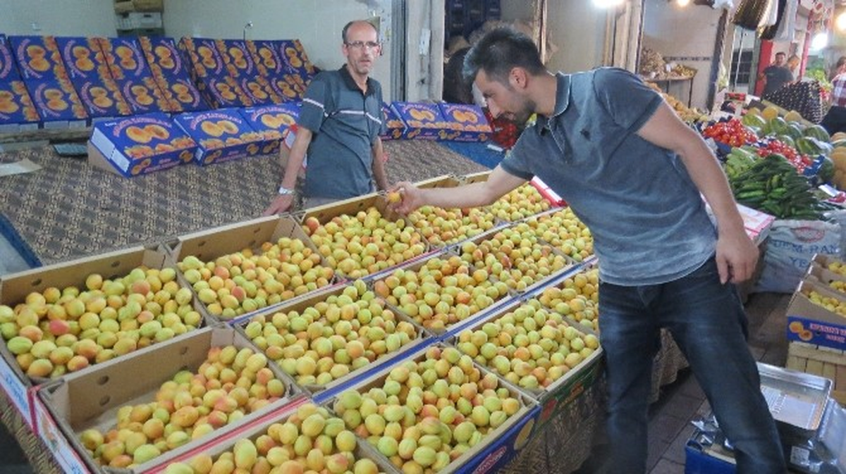 Malatya\'da Kayısı Pahalandı, Bayramda Hediye Paketleri Azaldı