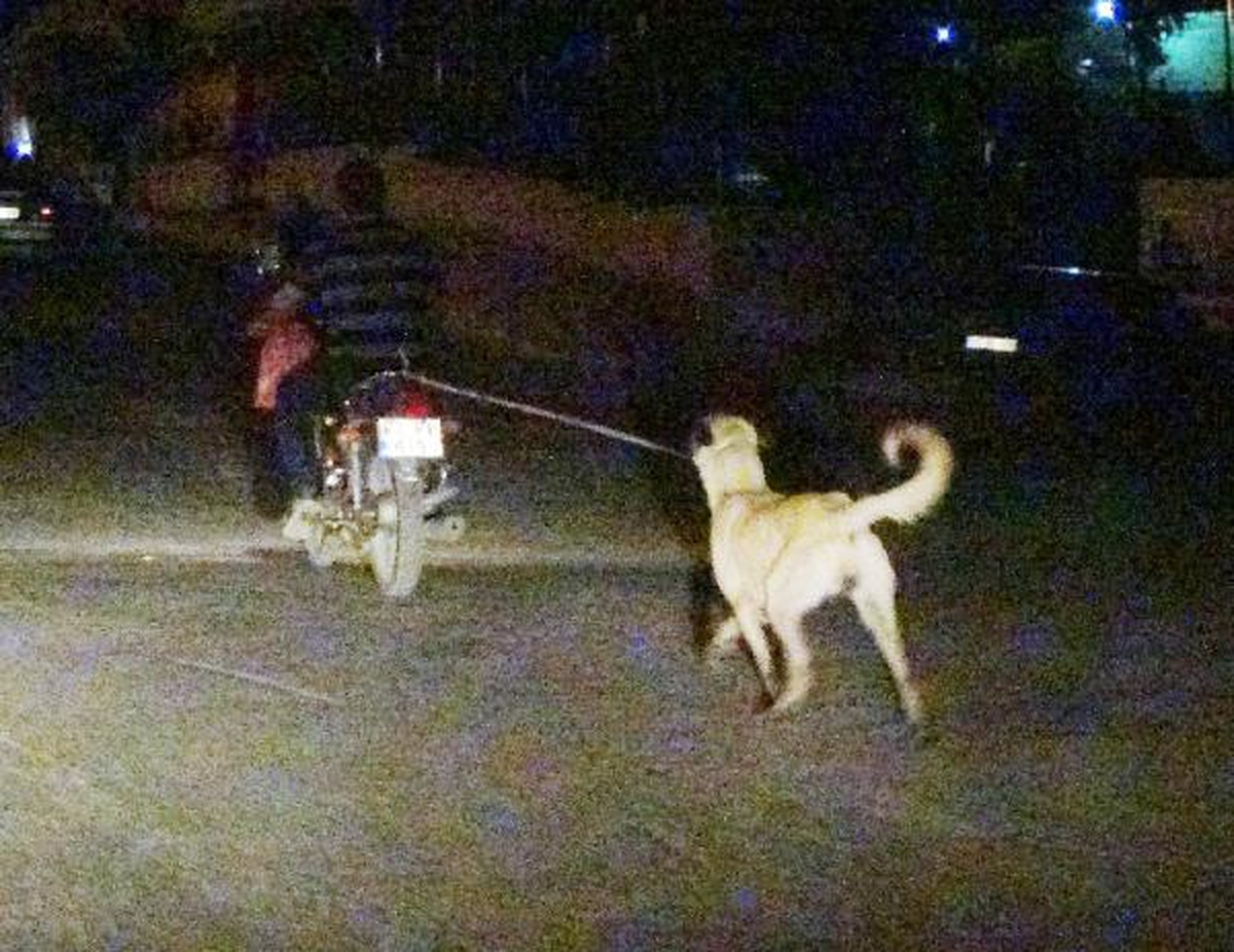 Şanlıurfa\'da Motosiklete Bağlanan Köpeğe İşkence