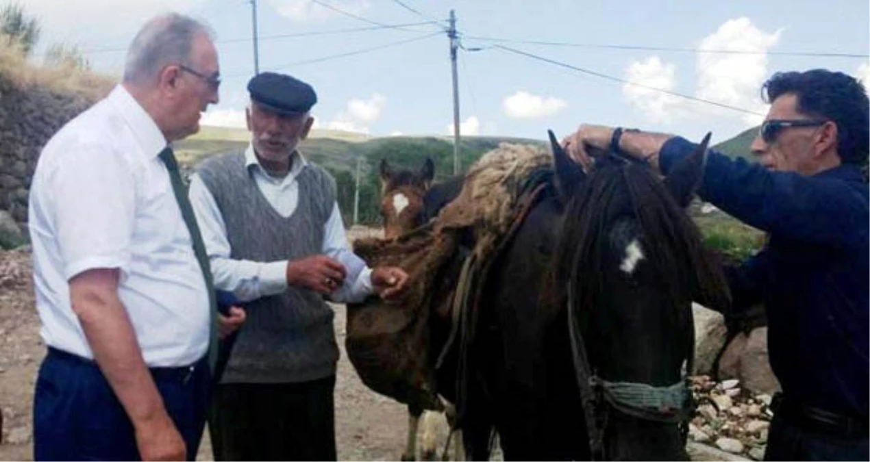 Öğüt, Köy Ve Yaylaları At İle Dolaşıyor