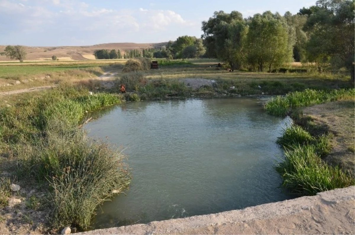 Kayseri\'ye Yaz Tatiline Giden 2 Çocuk Boğularak Öldü