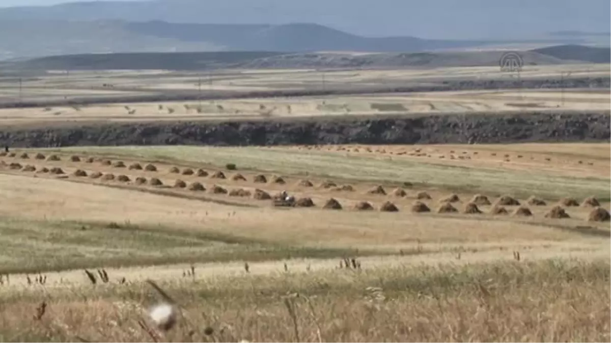 Hasadı, Geleneksel Tarım Aletleriyle Yapıyorlar