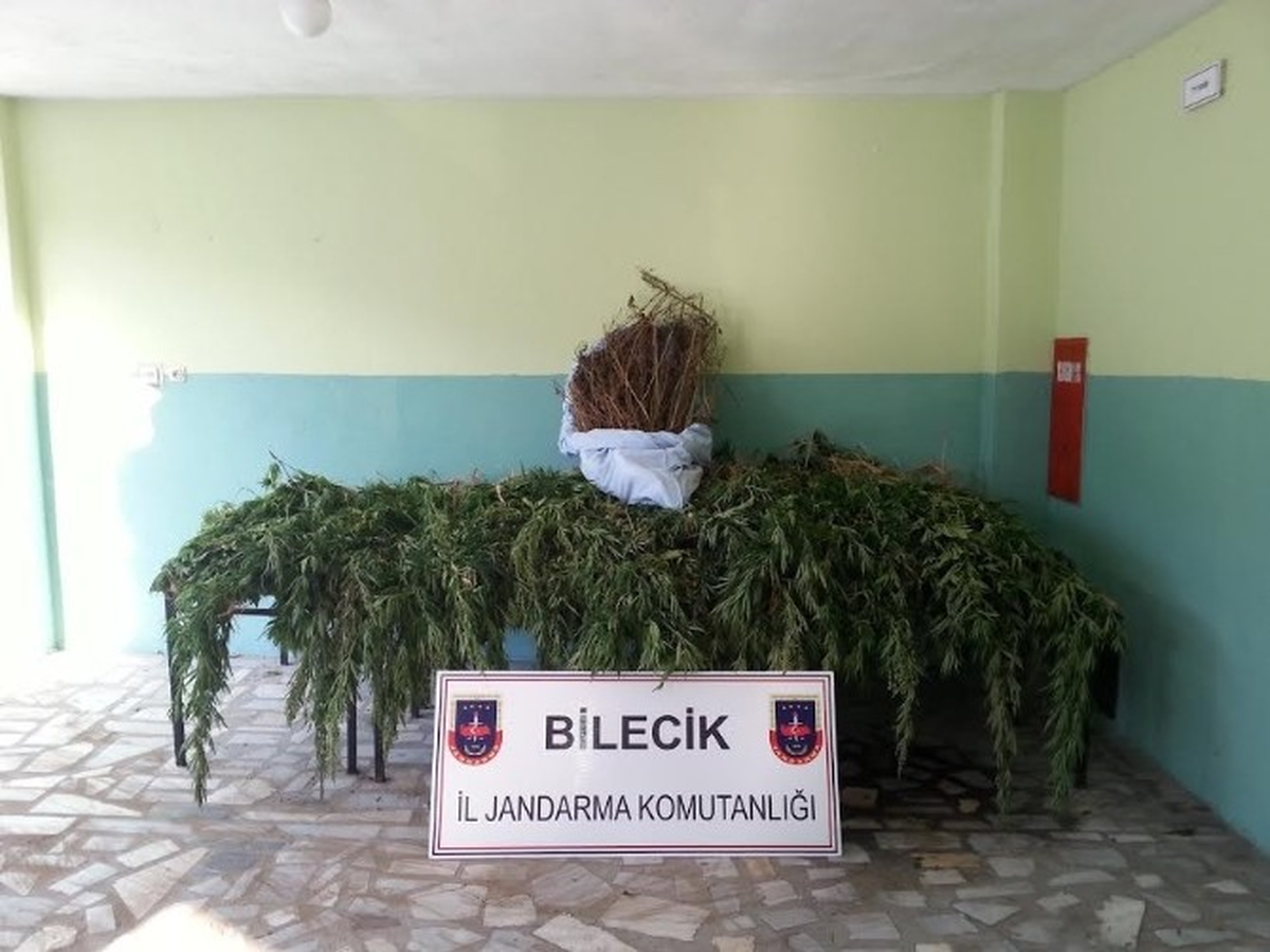Jandarmadan Uyuşturucu Operasyonu