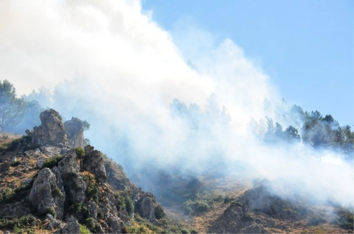 Spil Dağı\'nda Orman Yangını