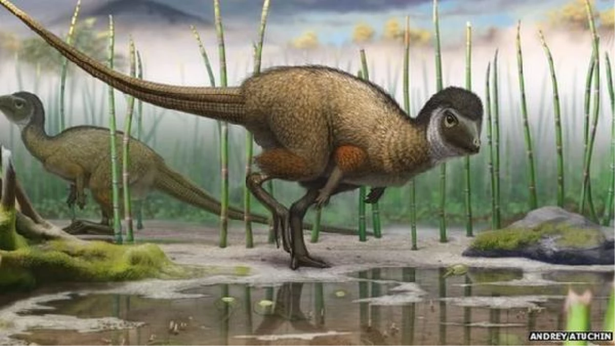 Yeni Keşif Bilim Dünyasını Sarstı: Tüylü Dinozorlar