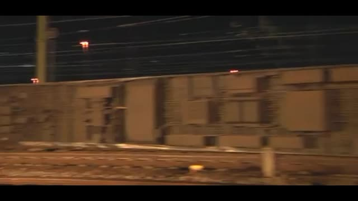 Almanya\'da Yolcu Treni ile Yük Treni Çarpıştı