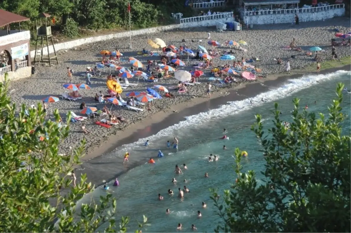 Karadeniz\'in Mavi Bayraklı Plajına Yoğun İlgi