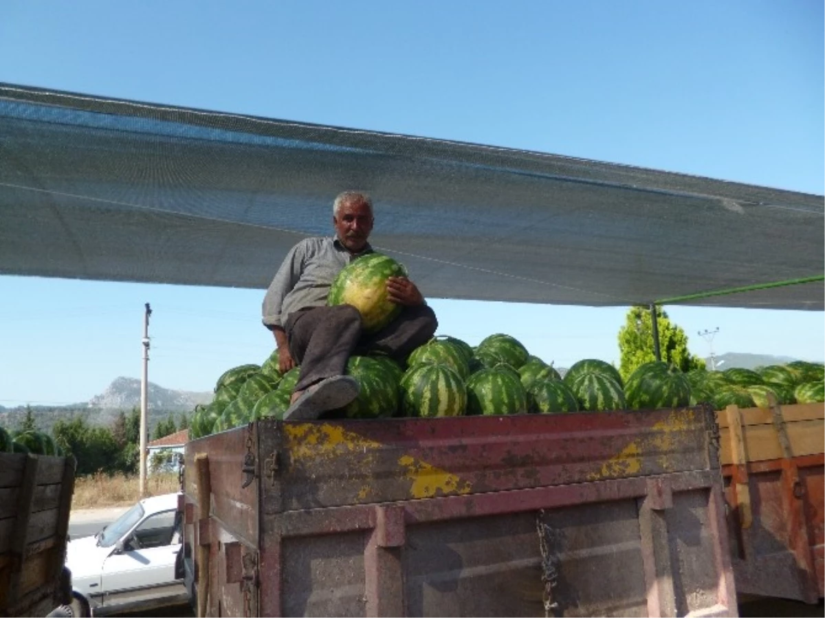 Karpuz Fiyatlarının Aniden Düşmesi Çiftçiyi Zor Durumda Bıraktı