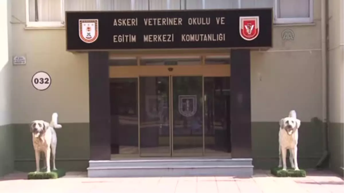 Askeri at ve köpeklere dünya standartlarında tedavi imkanı -