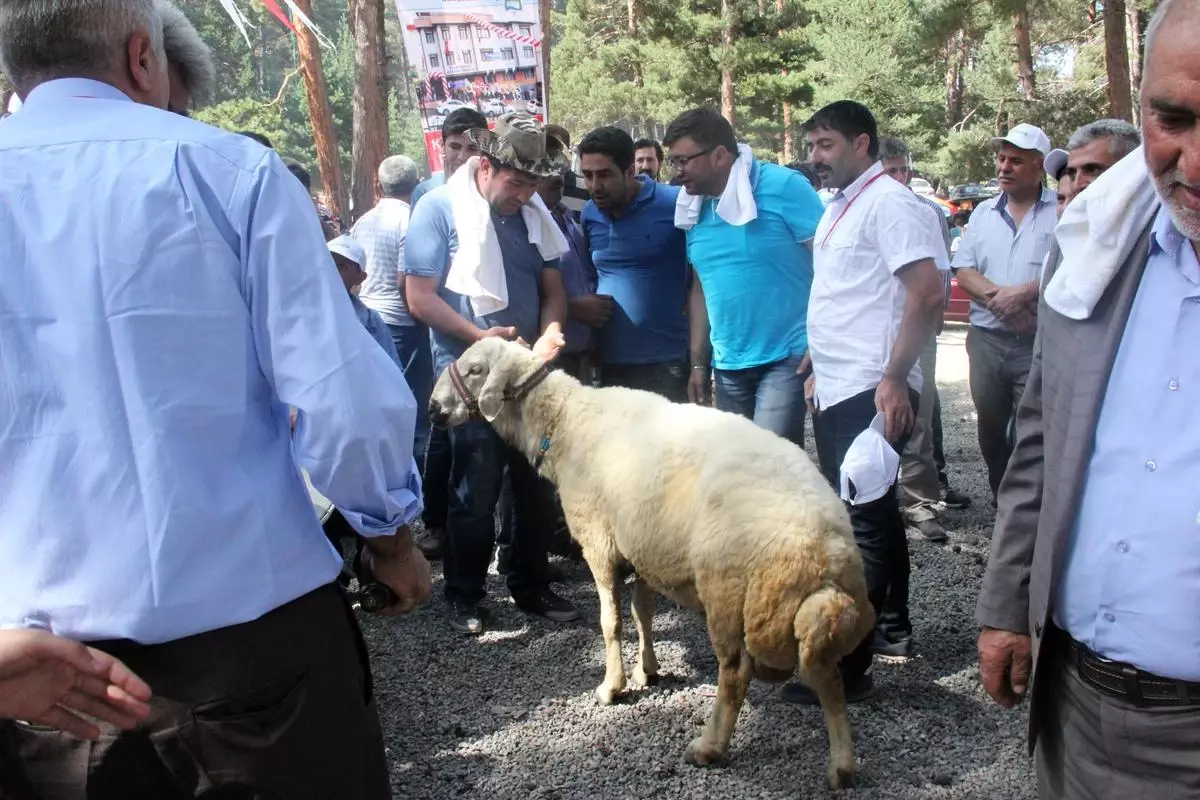 Polat Deresi Köyleri 16. Karataş Yayla Şenliği