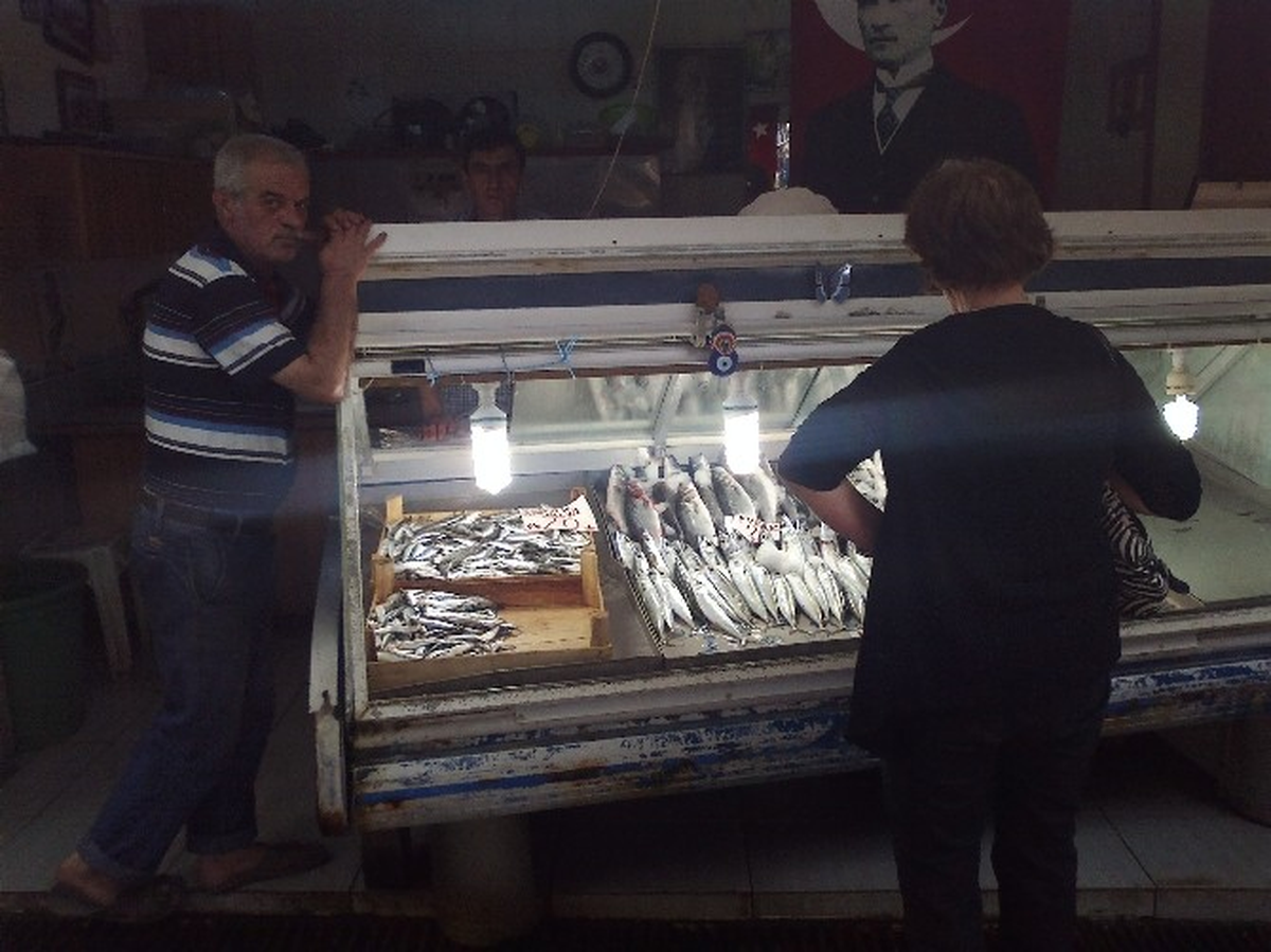 Sardalye Balığına Yüzde 100 Zam