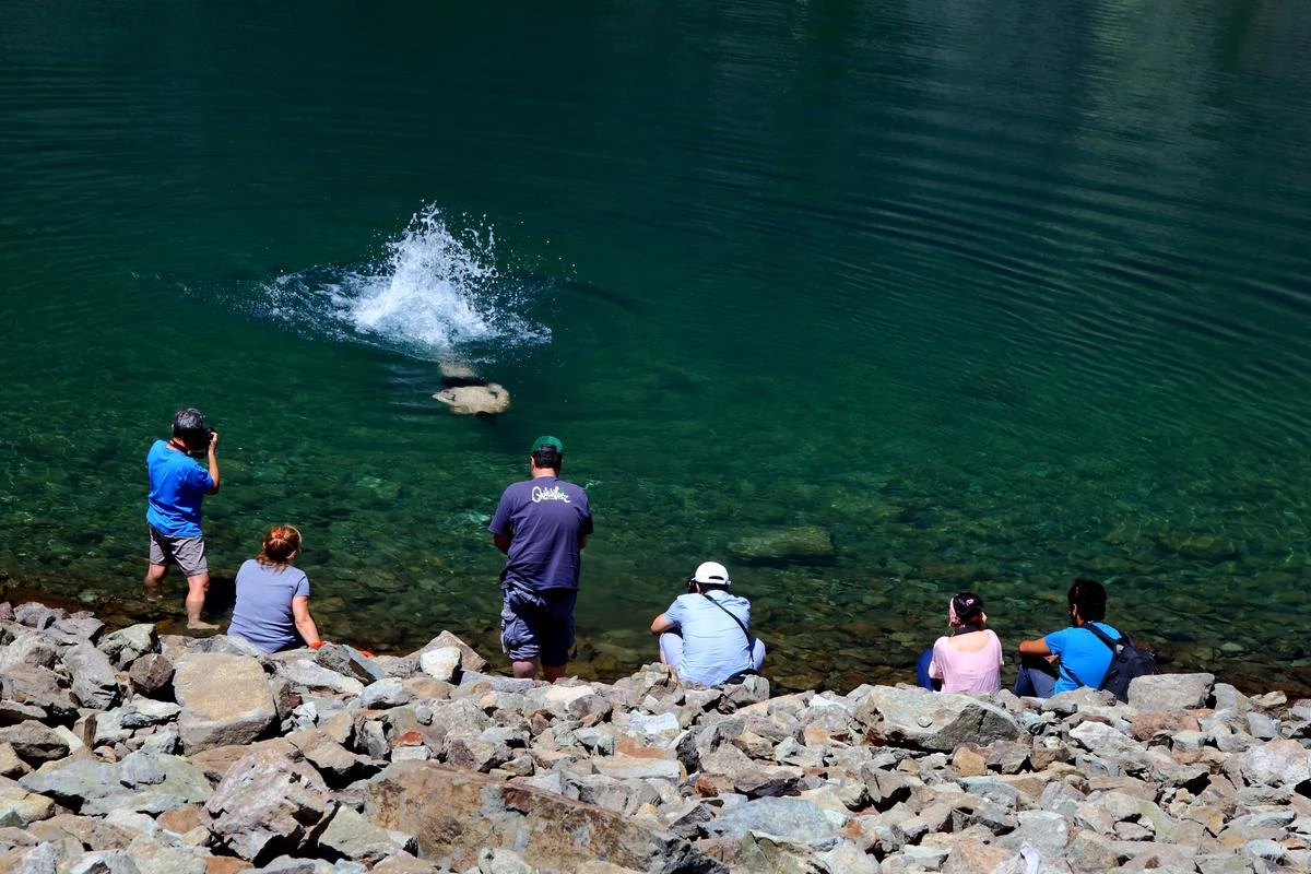 16. Sağrak Gölü Kültür Turizm ve Sanat Festivali