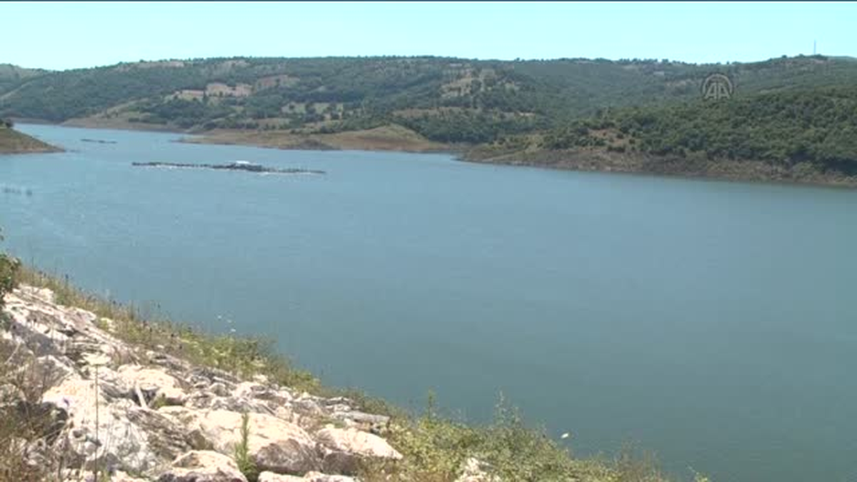 Kuş cennetini kuraklıktan Manyas Barajı korudu