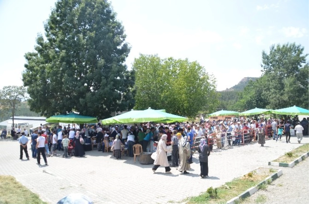 Tosya\'da Sünnet Şöleni Festival Havasında Geçti