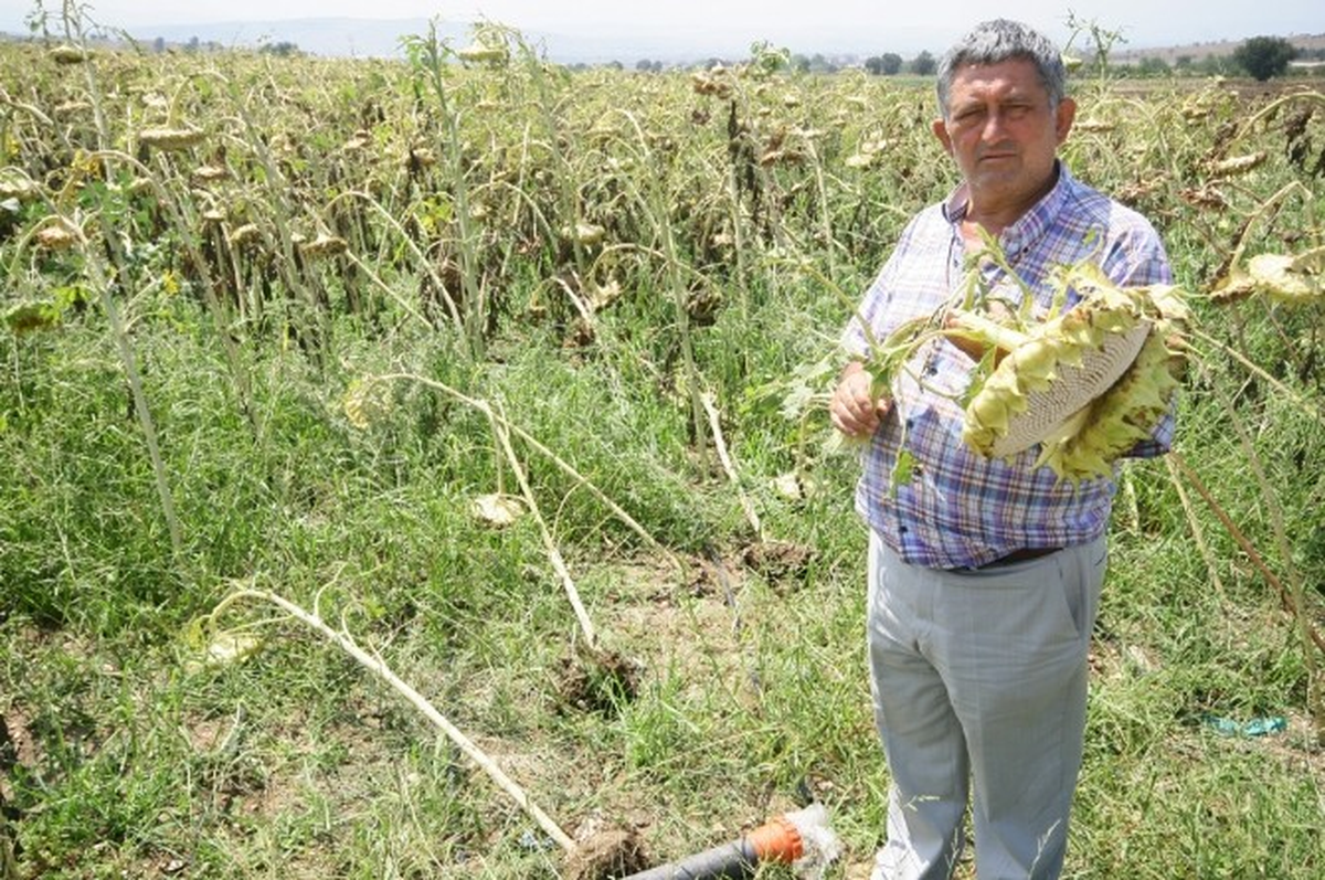 Yenişehir\'de Dolu Ekili Arazilere Zarar Verdi