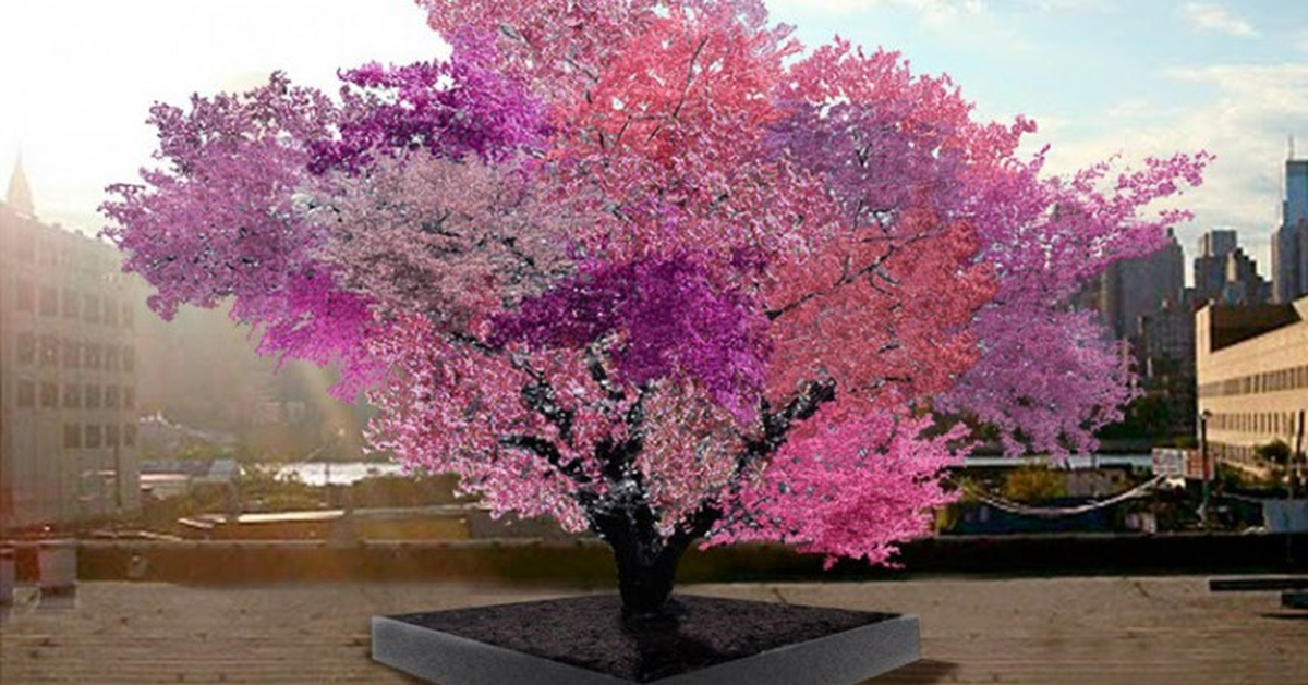 40 Çeşit Meyve Veren Ağaç!