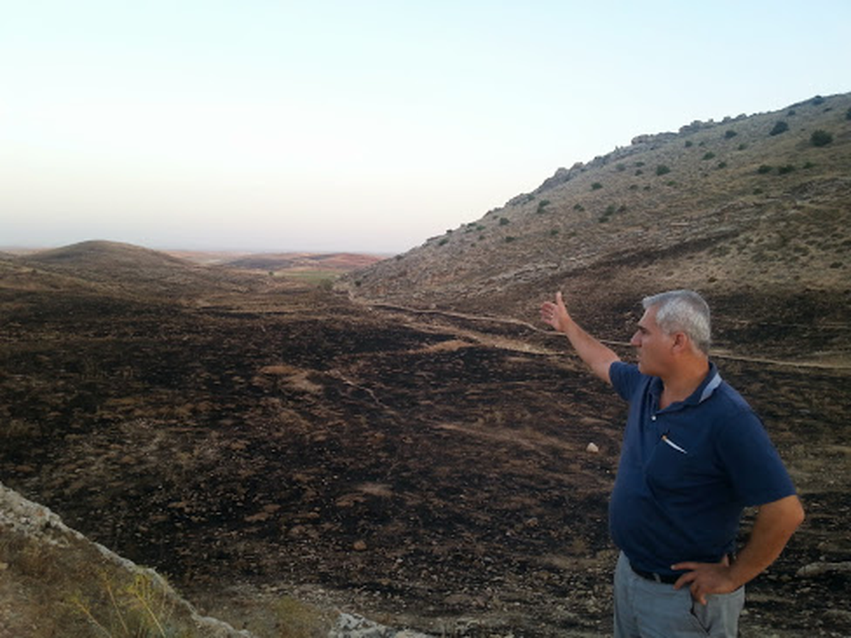 Binlerce Ağaç Kül Oldu