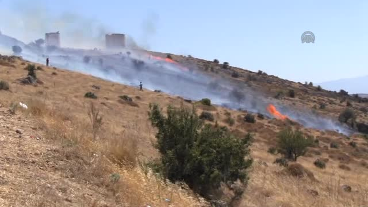 Bodrum\'da makilik alanda yangın -