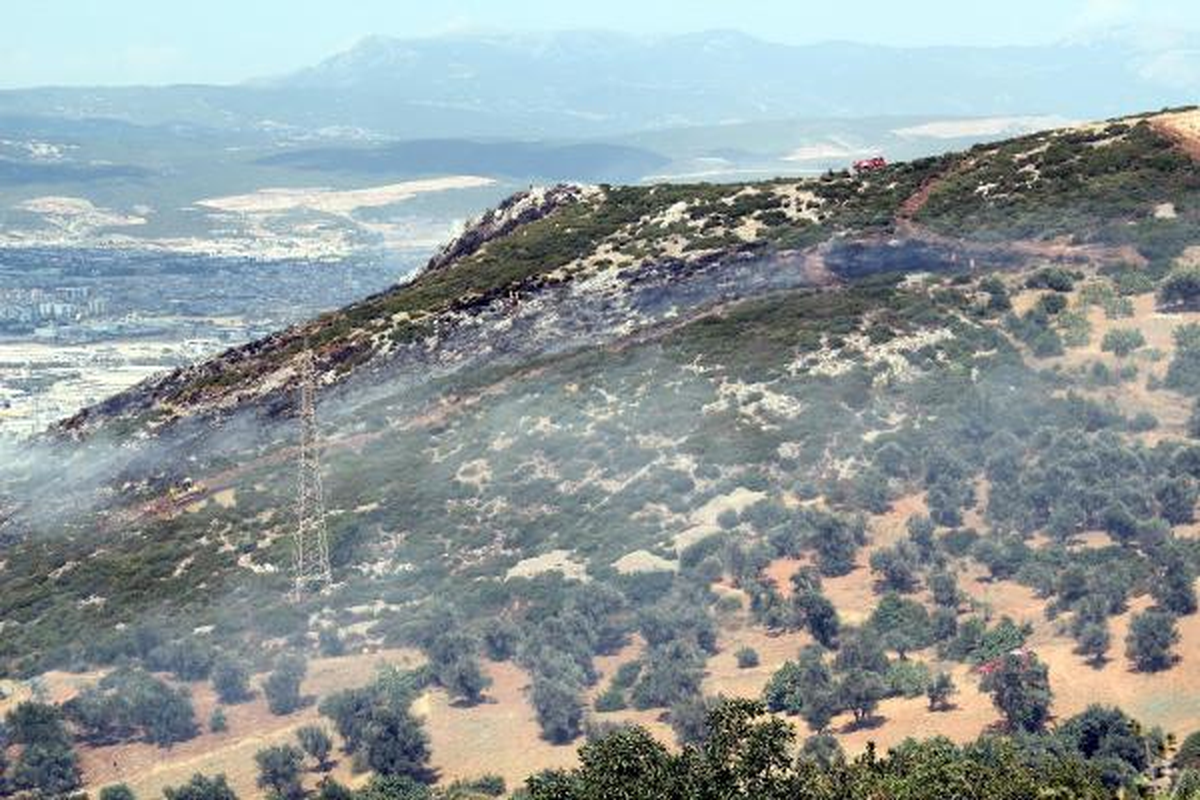 Bornova\'da Aynı Bölgede Yine Alevler Yükseldi