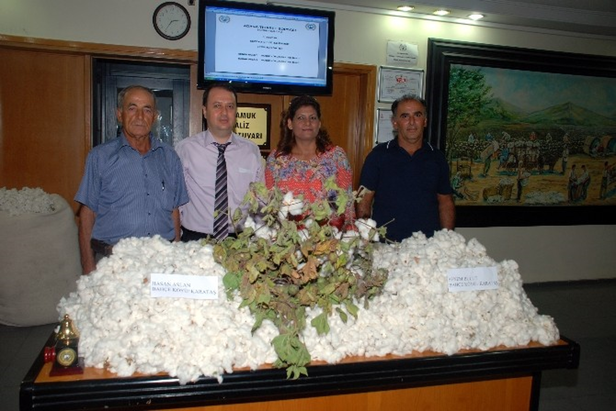 Çukurova\'da Sezonun İlk Pamuğu Kilosu 31 TL Sembolik Bedelle Satıldı