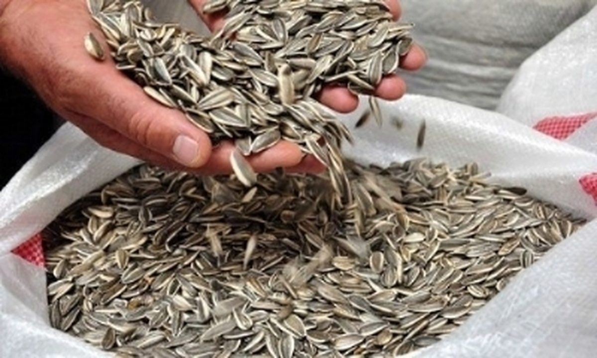 Denizli Ticaret Borsasında Ay Çekirdeği 5,25\'den İşlem Gördü