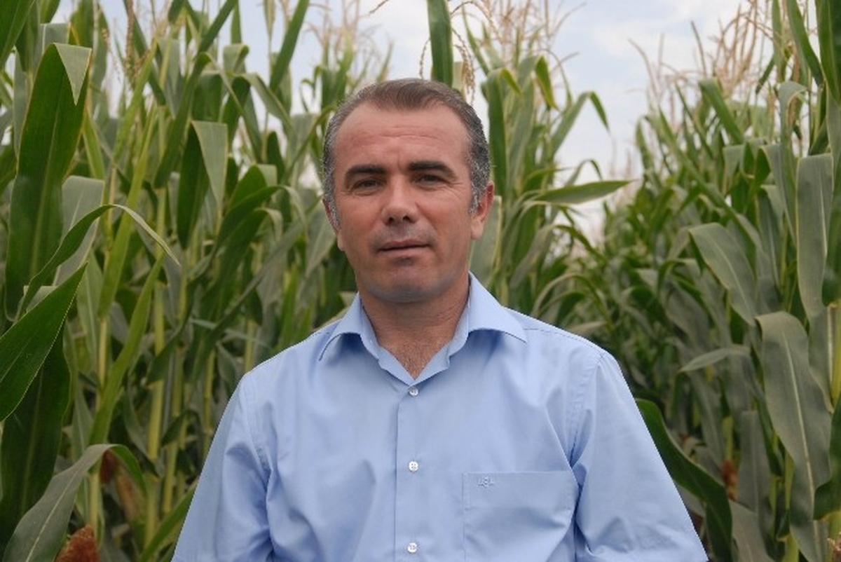 Diyarbakır\'da Mısır Üretim Alanlarında Artış