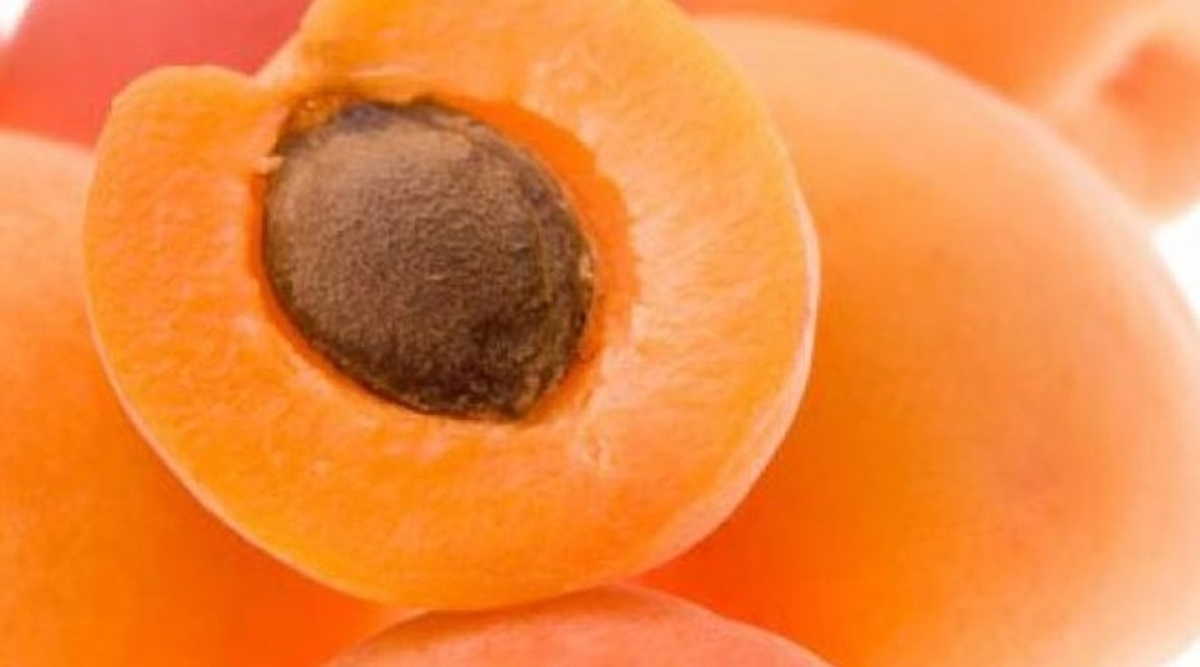 Doğu Marmara\'nın Zam Şampiyonu Kayısı