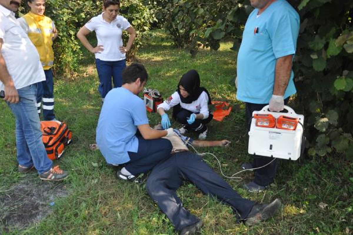 Fındık Toplarken Kalp Krizinden Öldü