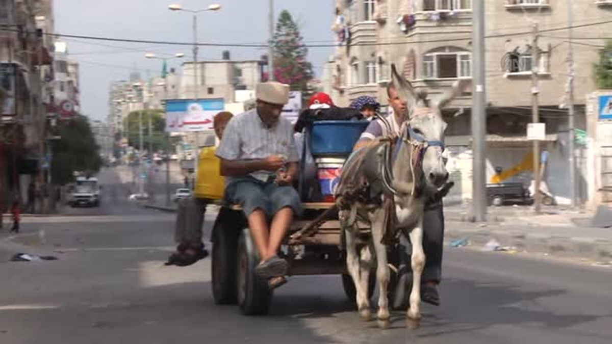Gazze\'de ateşkes hareketliliği (2)