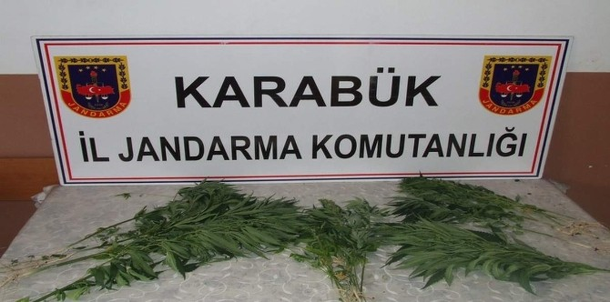 Jandarmadan Kenevir Operasyonu