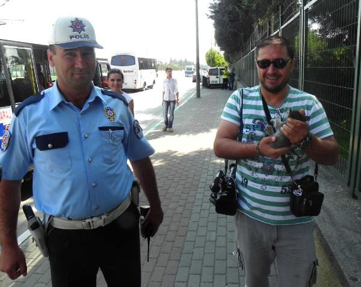 Kameramanın Kediyi Kurtarma Çabası