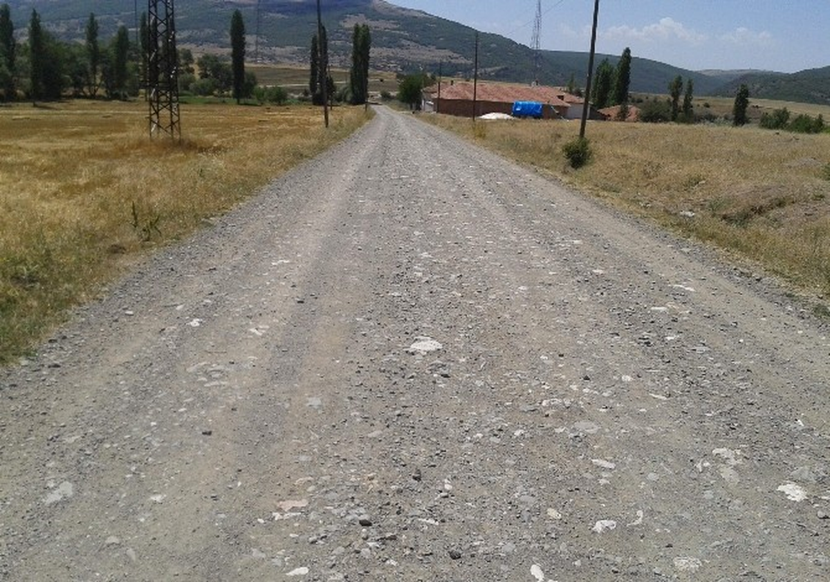 Köy Muhtarın 20 Yıllık Yol İsyanı