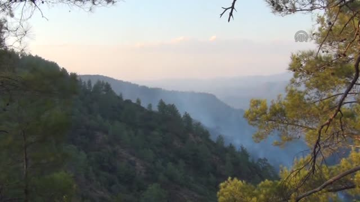 Korkutan Yangın Kontrol Altına Alındı