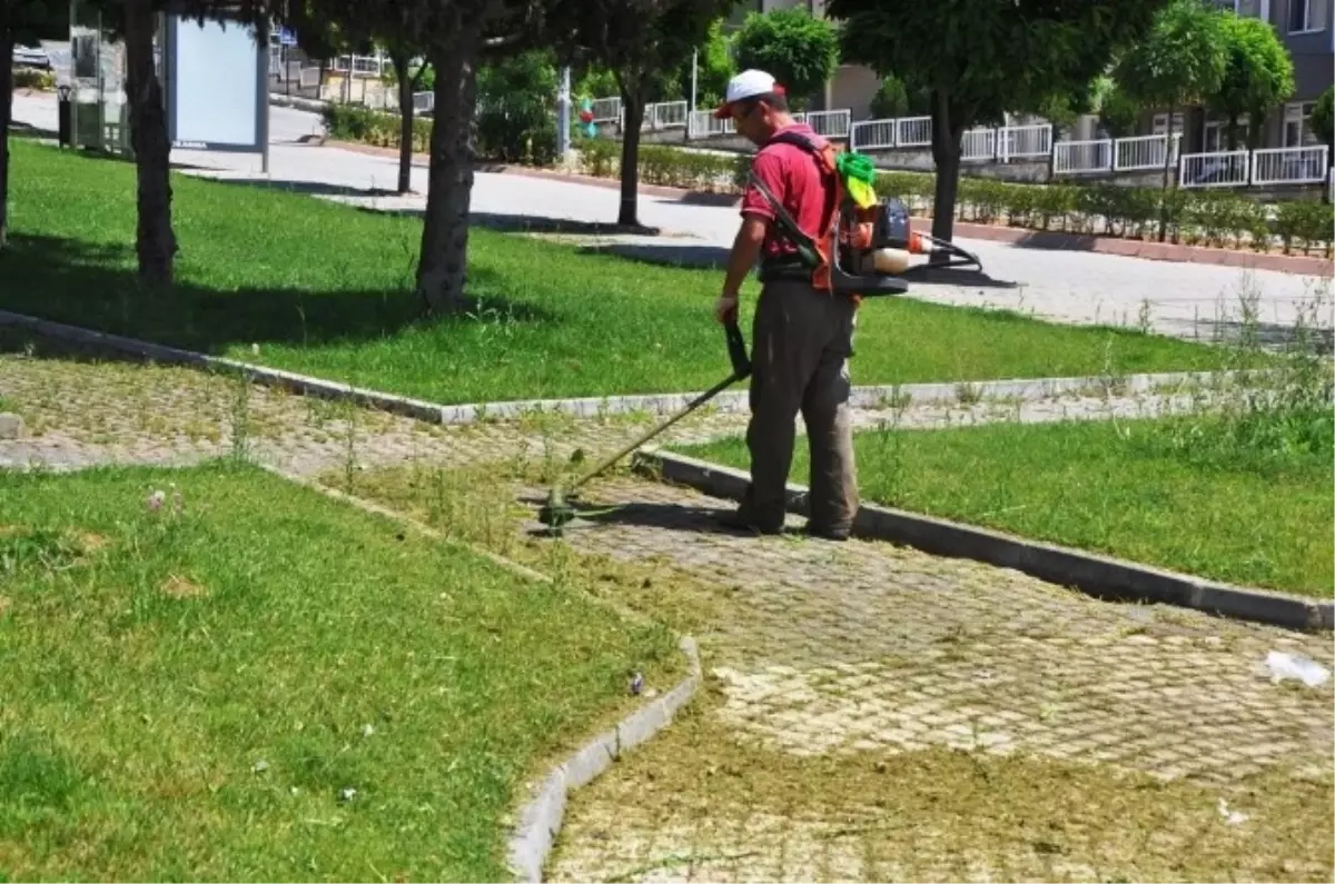 Tekirdağ\'da Çim ve Otların Temizliğine Başlandı