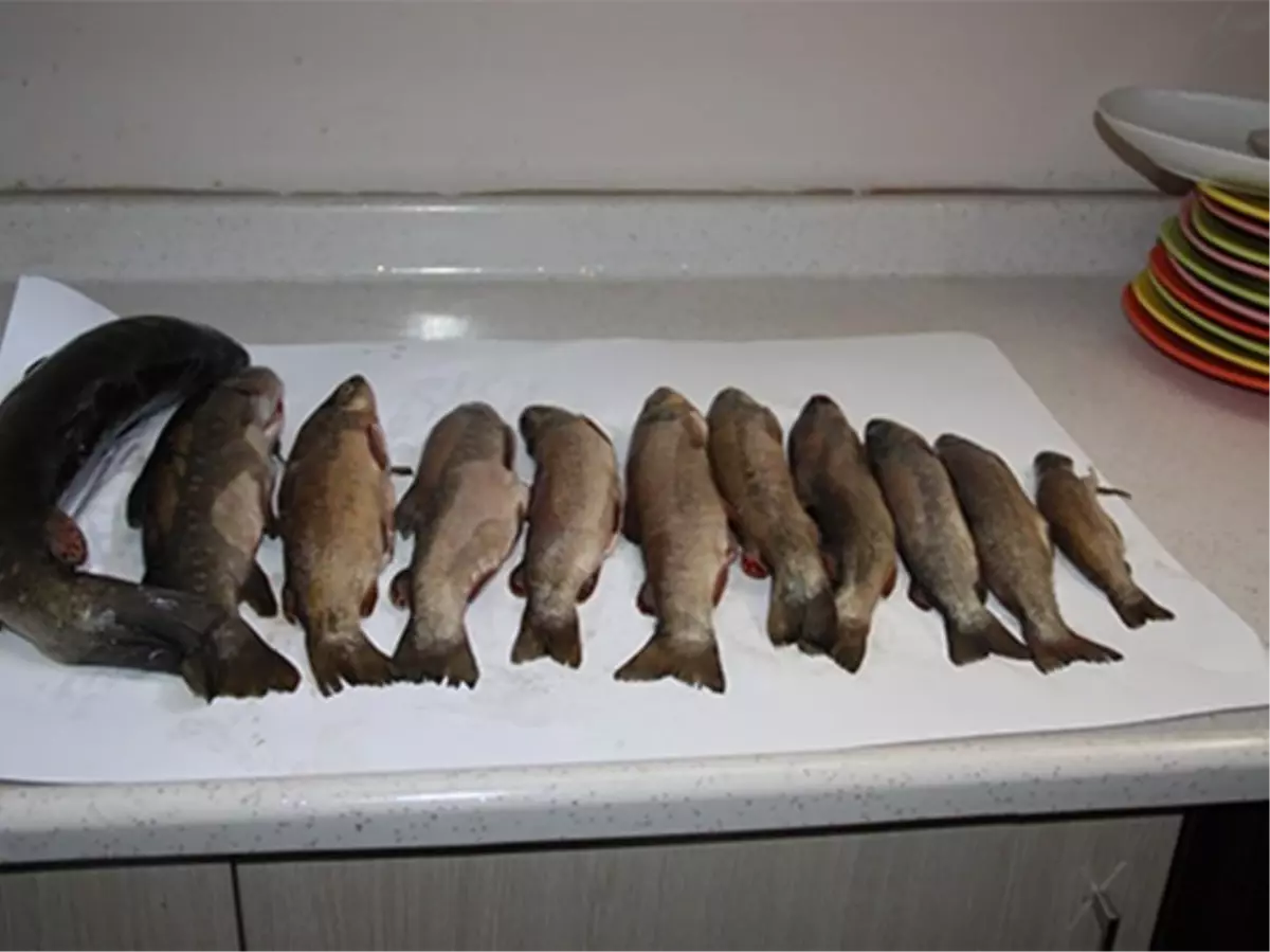 Yasak Avlanmaya Bin 918 Lira Ceza