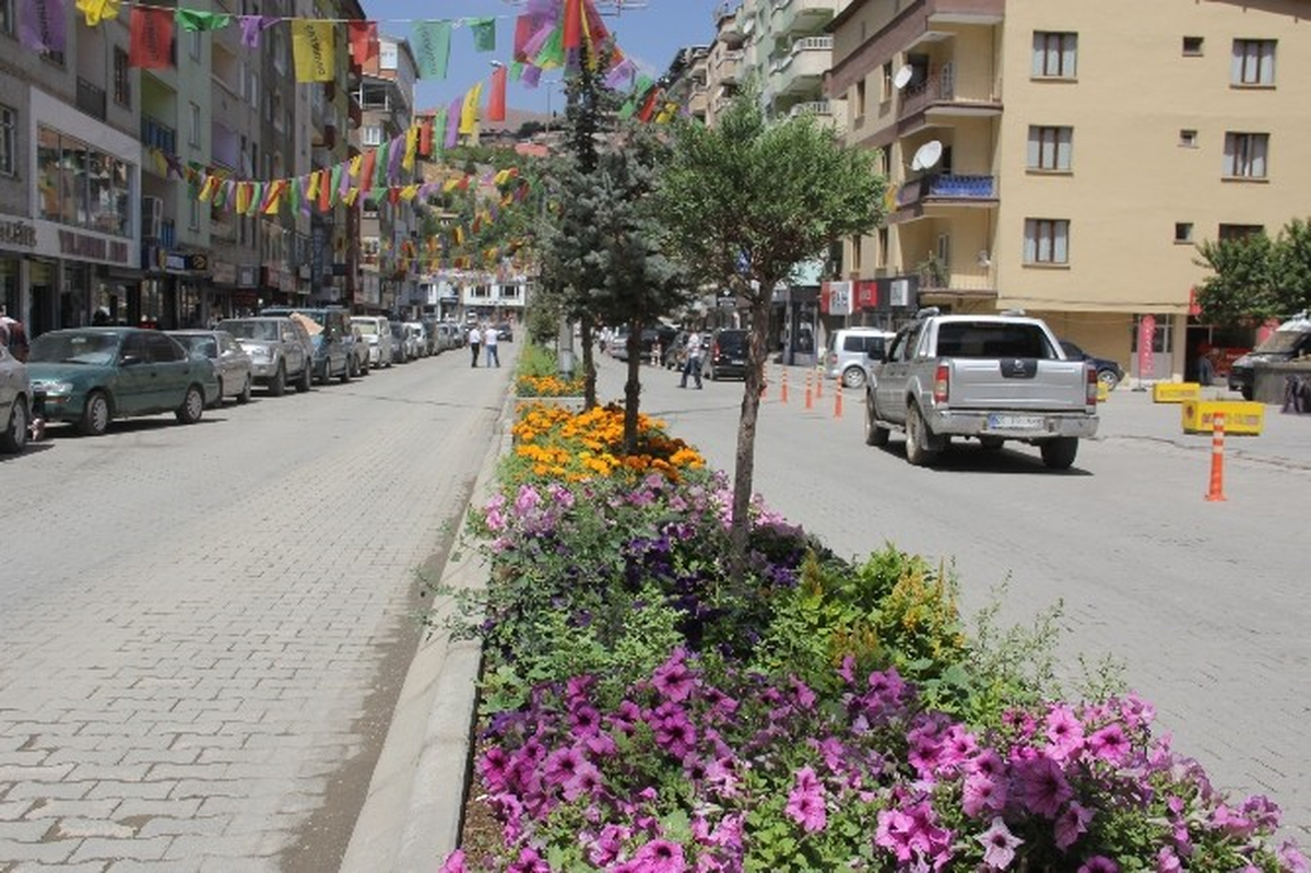 Belediye\'nin Ektiği Çiçekler Hakkari\'ye Renk Kattı