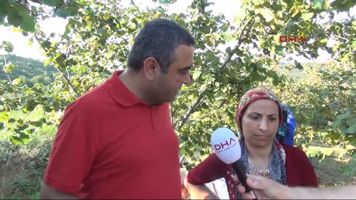 CHP\'li Tanrıkulu Sakarya\'da Fındık İşçilerinin Sorunlarını Dinledi