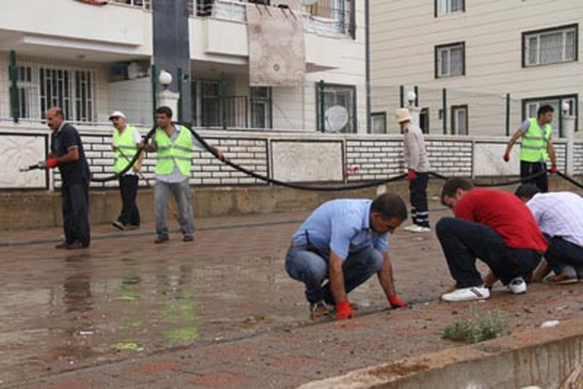 Daha Temiz Bir Bağlar İçin 7/24 Çalışıyorlar