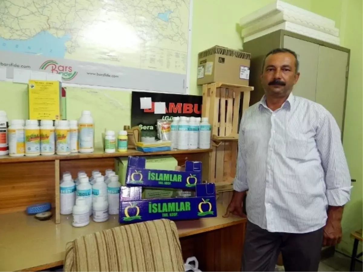 Elmalı\'da "1.hıyar Şenliği" Düzenleniyor