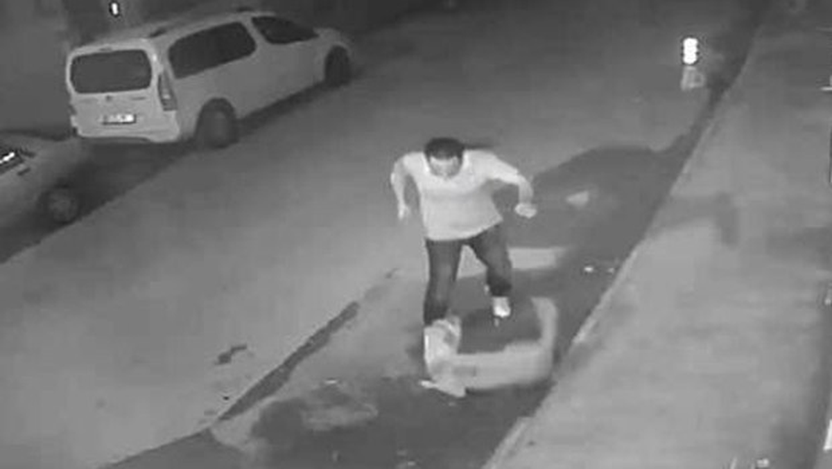 Köpeği Tekmeledi Sonra Elleriyle Boğarak Öldürdü