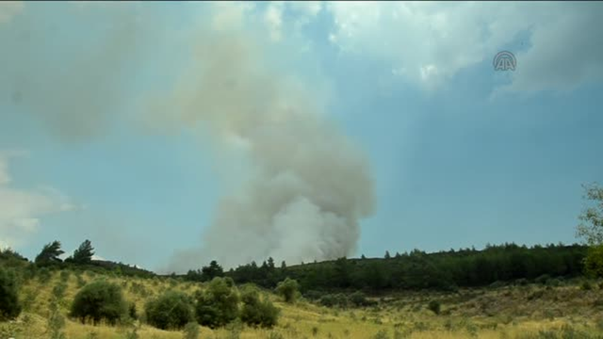 Muğla\'da orman yangını