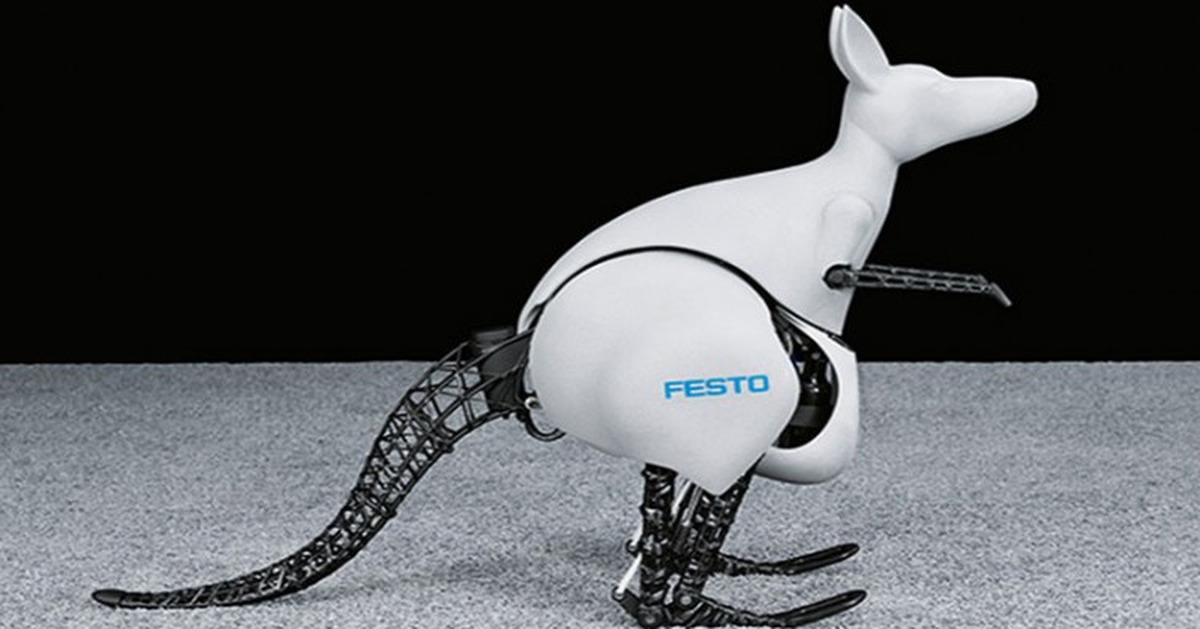 Robot Kanguru ile Tanışın