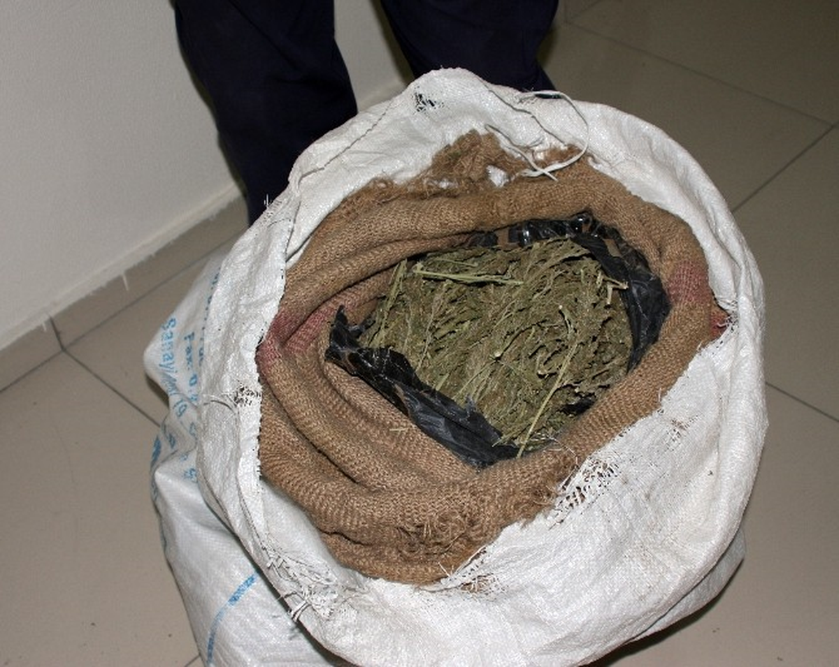 8 Kilogram Esrar Ele Geçirildi