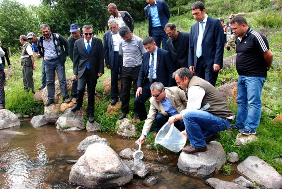 Ardıçdere Çayı\'na 34 Bin Yavru Alabalık Bırakıldı