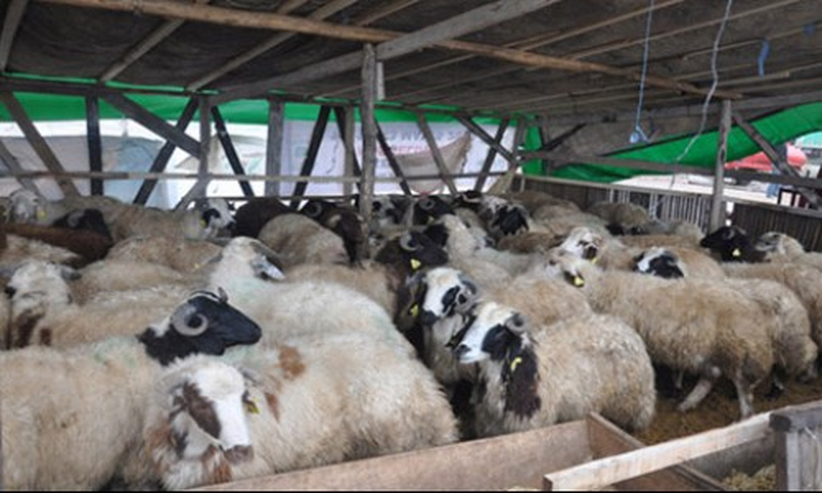 Diyanetten Kurban Tebliği